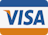 Visa card Logo